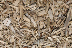 biomass boilers Tresamble